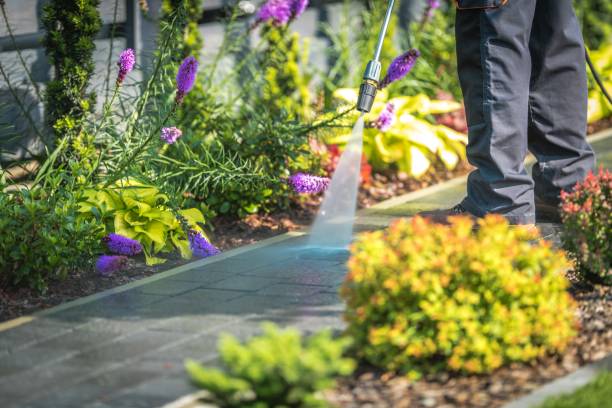 Reliable Dunean, SC  Pressure Washing Services Solutions